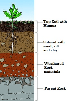 Layers of soil:- Soil Profile