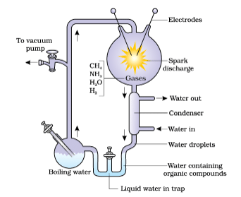Origin of Life | Biology Class 12 - NEET