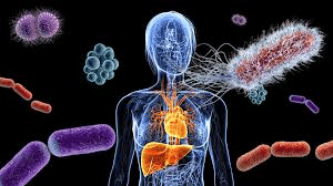 Human Health and Diseases Chapter Notes | Biology Class 12 - NEET