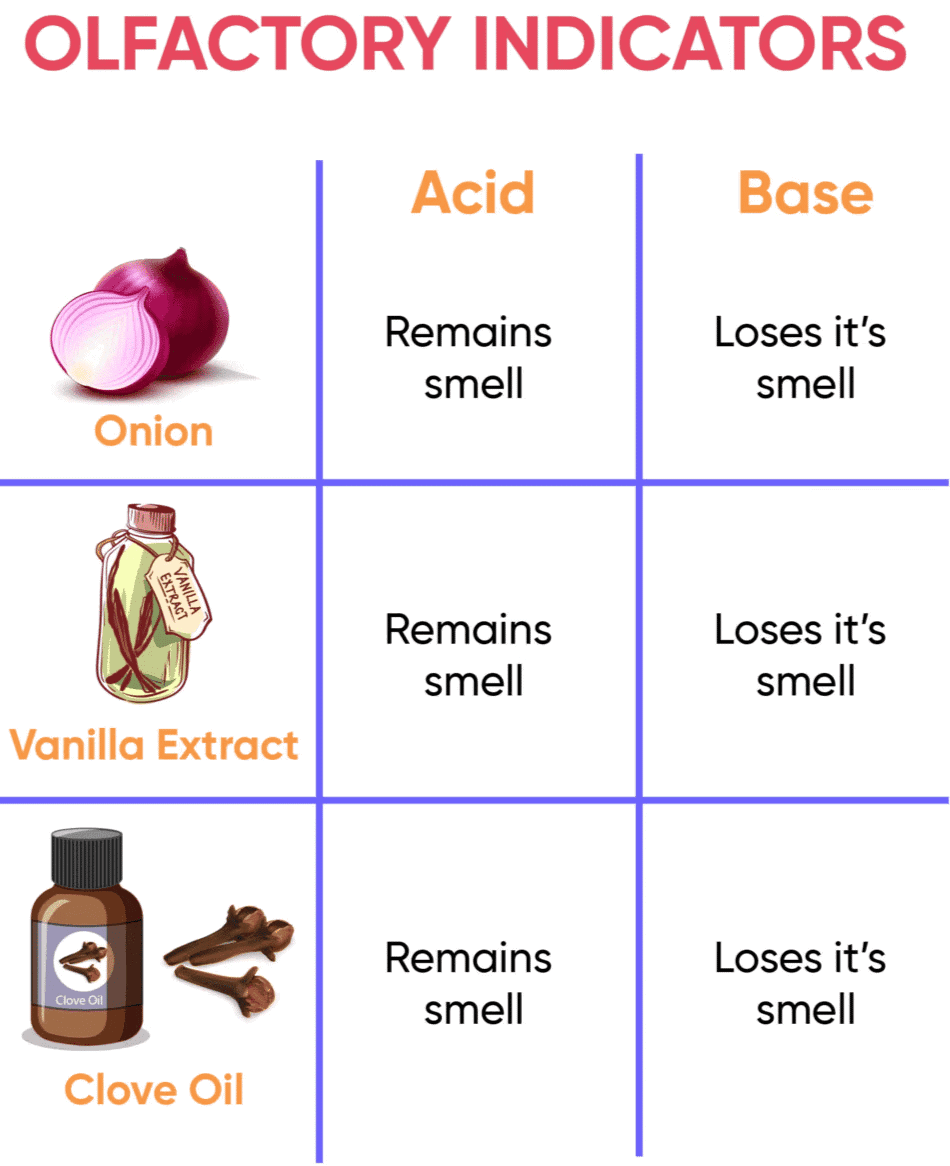 Activity 2.2: Testing for Olfactory Indicators Using Onion, Vanilla, and Clove