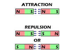 Unit Test(Solutions): Exploring Magnets | Science for Class 6