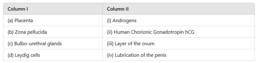 NEET Previous Year Questions (2016-2025): Human Reproduction | Biology Class 12