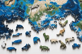 Unit Test (Solutions): The Wonderful World of Science - 2 | Science for Class 6