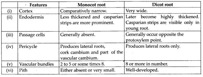 NCERT Solutions Class 11 Biology Chapter 6 - Anatomy of Flowering Plants
