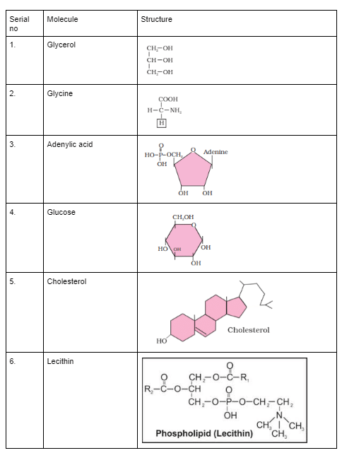 NCERT Solutions Class 11 Biology Chapter 9 - Biomolecules