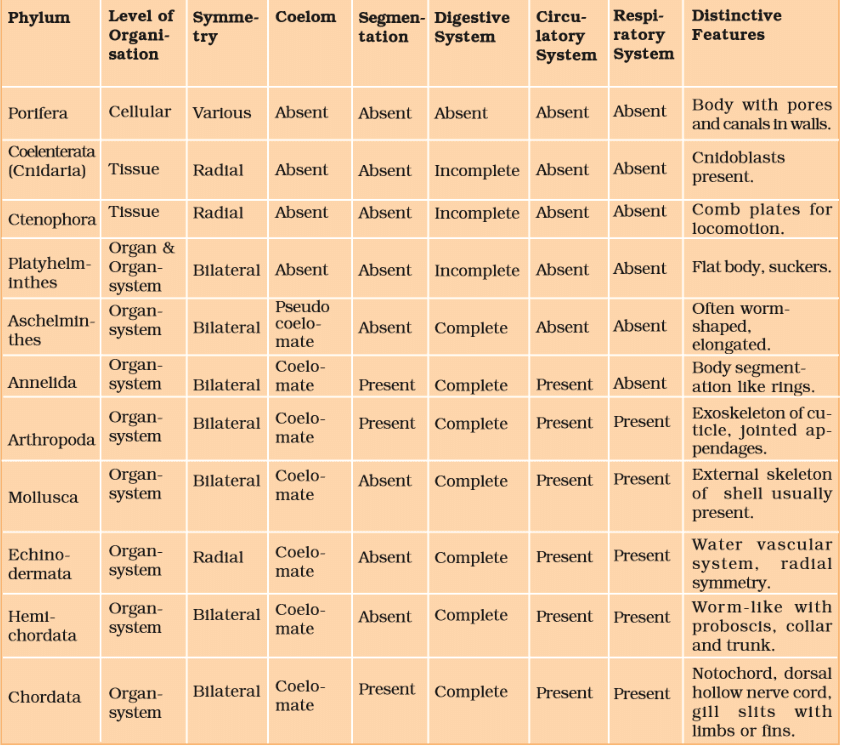 NCERT Notes: Animal Kingdom | NCERT Textbooks, Tests & Solutions - NEET
