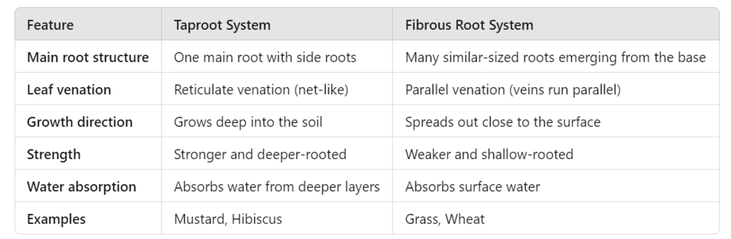 Unit Test (Solutions): Diversity in the Living World - 2 | Science for Class 6