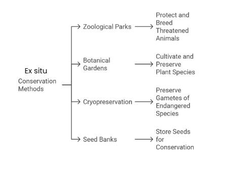 Mnemonics: Biodiversity and its Conservation | Biology Class 12 - NEET