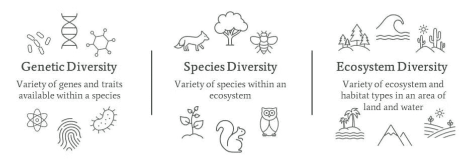 Levels of Biodiversity