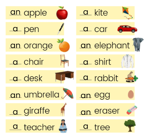 Worksheet Solutions: Article a/an - 1 | English for LKG