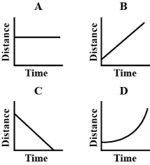 Unit Test (Solutions): Motion