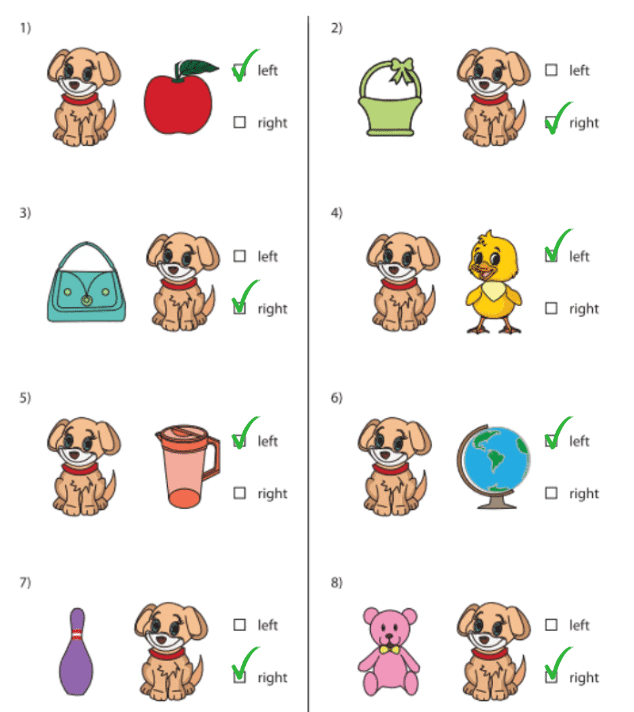 Worksheet Solutions: Left and Right | Maths for LKG
