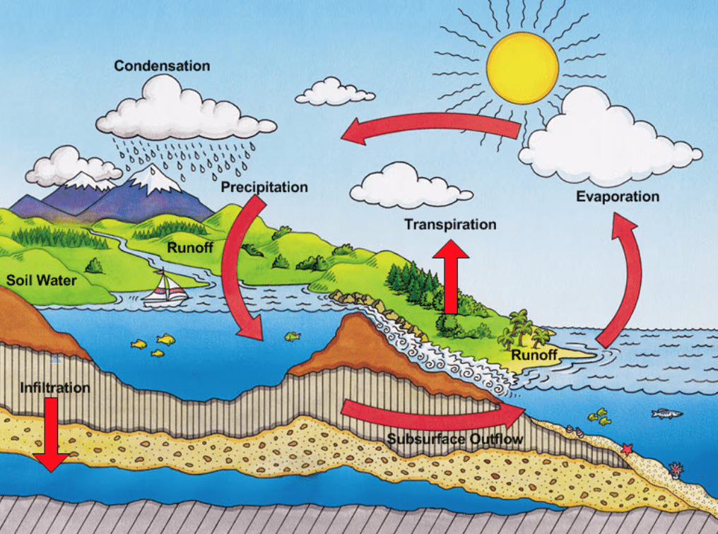Class 6 Science: Sample Paper Solutions - 1 | Sample Papers For Class 6