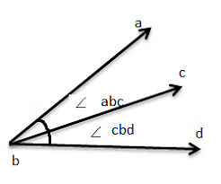 Unit Test: Lines and Angles | Mathematics for Class 6