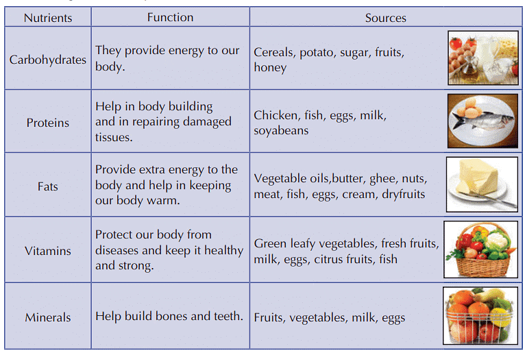 Food, Nutrition, Health and Diseases Class 5 Notes Science