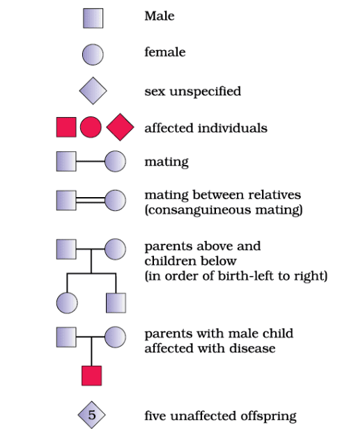 Symbols used in the human pedigree analysis