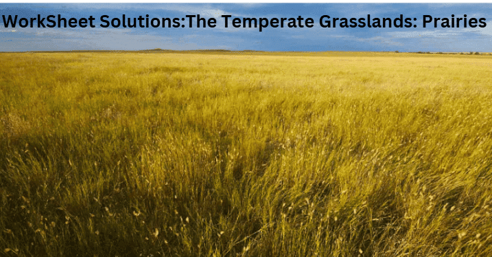 The Temperate Grasslands: Prairies - 2 Class 5 Worksheet SST
