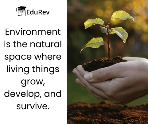 Our Environment (Part 1) Class 5 Notes Science