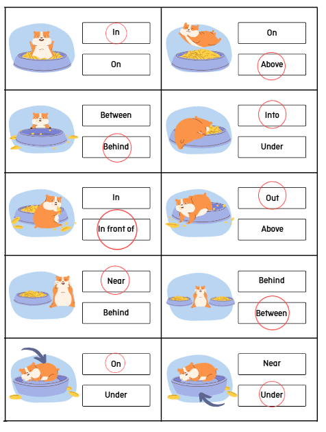 Worksheet Solutions: Positions - 1 | English for LKG
