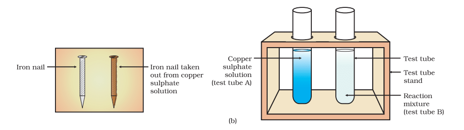 NCERT Based Activity : Chemical Reactions and Equations | Science Class 10