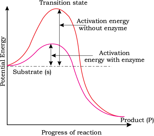 Concept of activation energy