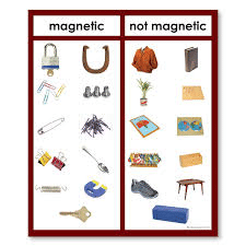 Unit Test(Solutions): Exploring Magnets | Science for Class 6