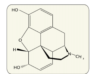 Human Health and Diseases Chapter Notes | Biology Class 12 - NEET