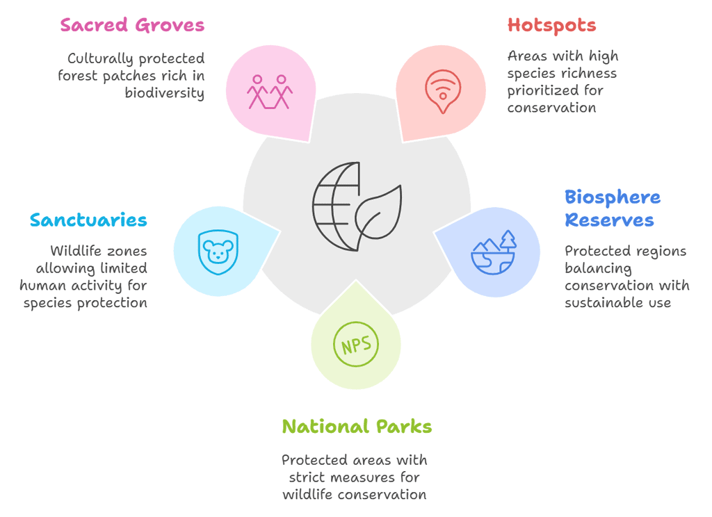 Mnemonics: Biodiversity and its Conservation | Biology Class 12 - NEET