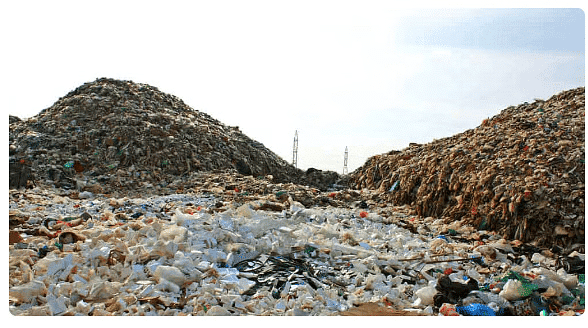 Our Environment (Part 1) Class 5 Notes Science