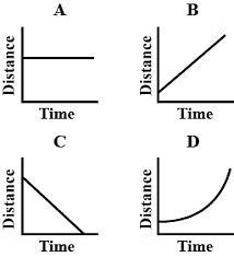 Unit Test : Motion
