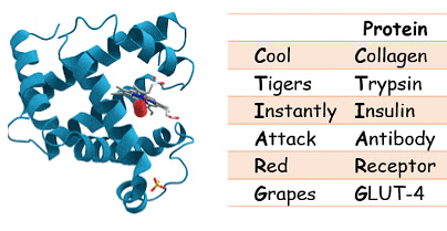 Mnemonics: Biomolecules | Biology Class 11 - NEET