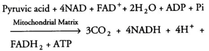 Respiration in Plants Chapter Notes | Biology Class 11 - NEET