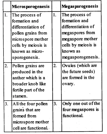 NCERT Solutions Class 12 Biology Chapter 1 - Sexual Reproduction in Flowering Plants