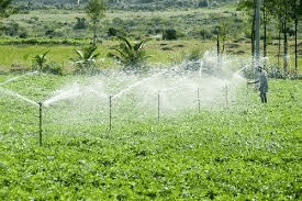 Sprinkler Irrigation
