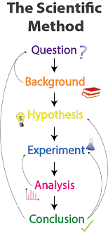 Unit Test (Solutions): The Wonderful World of Science - 2 | Science for Class 6
