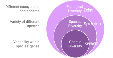 Mnemonics: Biodiversity and its Conservation | Biology Class 12 - NEET