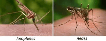 Unit Test (Solutions) : Microorganisms: Friend and Foe | Science Class 8