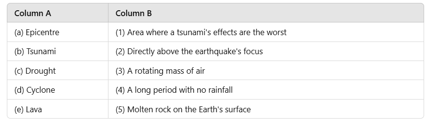 Class 5 SST HOTS Questions - Natural Disasters