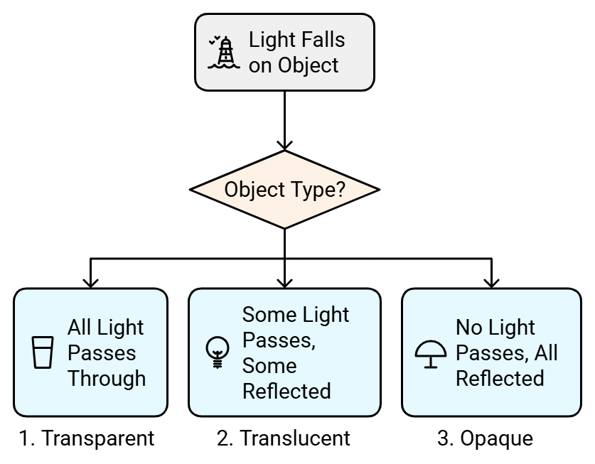 Light and its Properties | Science Class 5