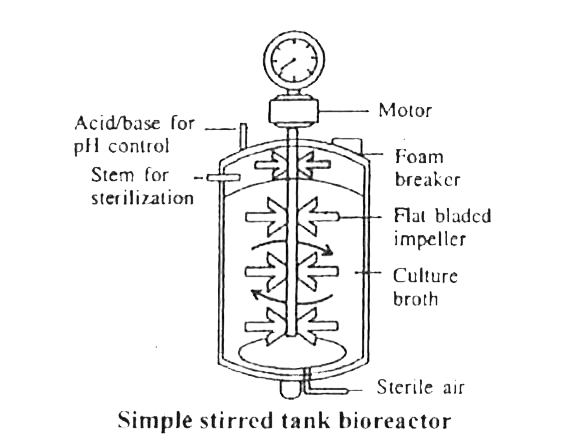 NEET Previous Year Questions (2016-2025): Biotechnology: Principles & Processes | Biology Class 12