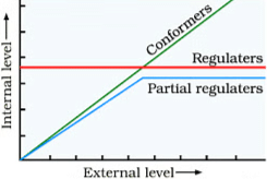 Diagrammatic representation of organismic response