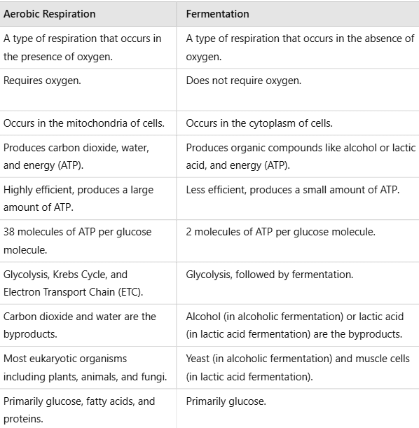 NCERT Solutions Class 11 Biology Chapter 14 - Respiration in Plants