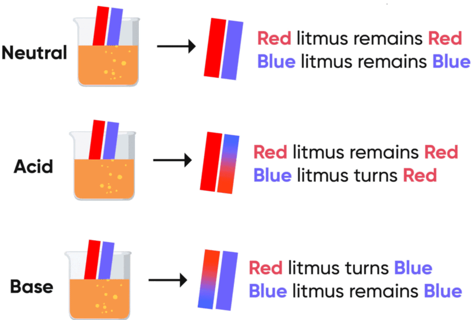 Activity Related Question 