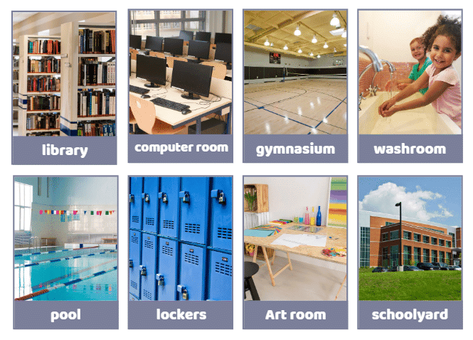Worksheet Solutions: My School | EVS for LKG
