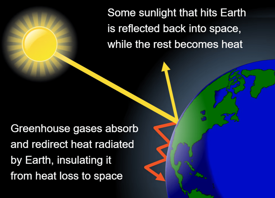 Greenhouse Effect