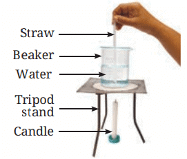 Heat Transfer in Nature Class 7 Notes Science Chapter 7 Free PDF