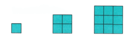 Unit Test(Solutions): Patterns in Mathematics | Mathematics for Class 6