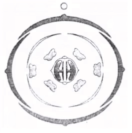 Diagram-based Previous Year Questions