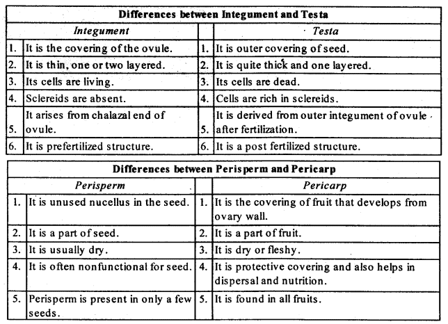 NCERT Solutions Class 12 Biology Chapter 1 - Sexual Reproduction in Flowering Plants