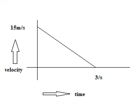 Unit Test (Solutions): Motion